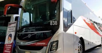 ¿Un fracaso? 12 personas han usado la línea de autobús de Toluca al AIFA