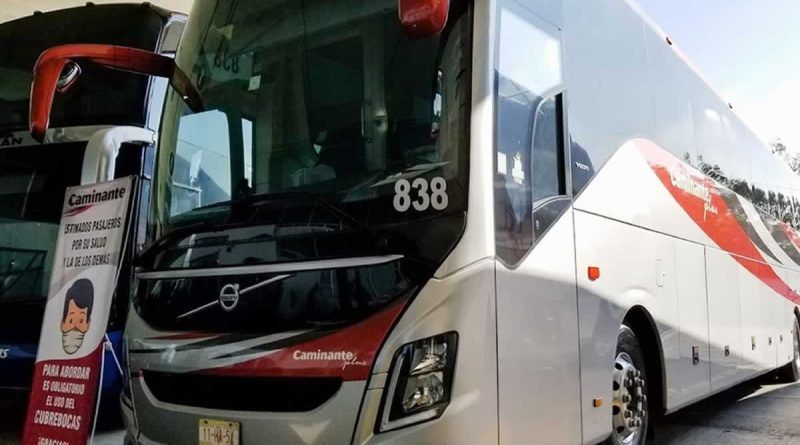 ¿Un fracaso? 12 personas han usado la línea de autobús de Toluca al AIFA
